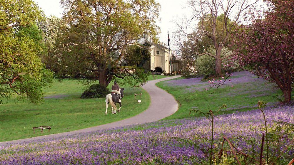 Brantridge Park Διαμέρισμα Balcombe Εξωτερικό φωτογραφία