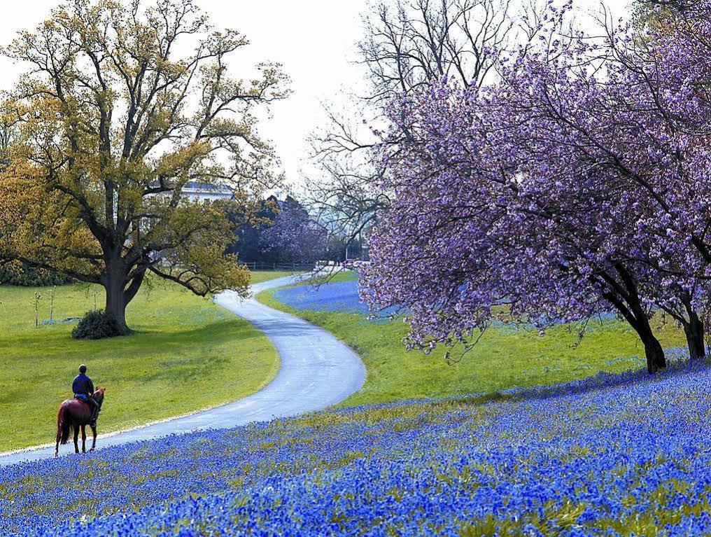 Brantridge Park Διαμέρισμα Balcombe Εξωτερικό φωτογραφία